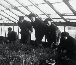 胡立教十分重視農(nóng)業(yè)生產(chǎn)