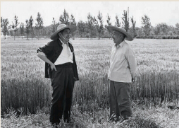 分管財貿(mào)工作 注重經(jīng)濟秩序恢復