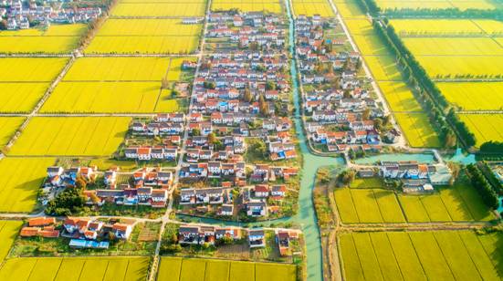 浦南鄉村美景宋輝攝